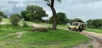@Tanzania Safaris