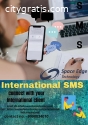 The Best International SMS provider .