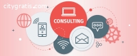 The Best IT Consulting Companies in Chic