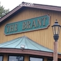 The Brant