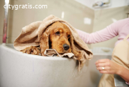 The Consequences of Skipping Dog Baths: