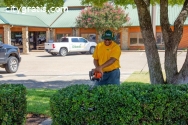 The Grounds Guys of Georgetown