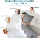 The Sleepsia Luxury King Pillow