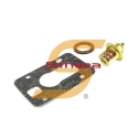 Thermostat Kit 982554 OMC