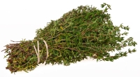 THYME: