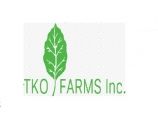 TKO farms-Belize Teak and Cacao Farm