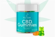 Tommy Chong's Discount Code