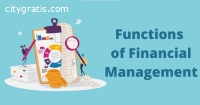 Top 5 Finance Management System - Genius