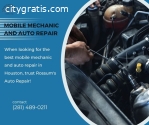 Top-rated Mechanics in Houston, TX