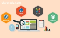 Top Rated Web Development Services