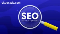 Top SEO Company in Coral Springs