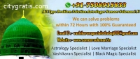 Vashikaran Specialist +91-7508915833 Goa