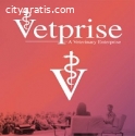 Veterinarian Relief Jobs