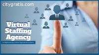 Virtual Staffing Services