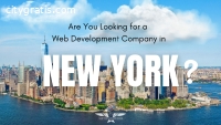 Web Development Company in New York