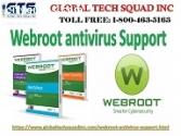 Webroot Antivirus Support in USA