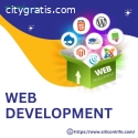 Website Development Services