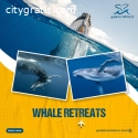 WHALE Retreats by Guide To Whale
