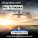 What are the cheapest flights from NYC t