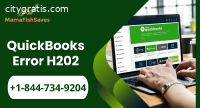 What is QuickBooks Error H202