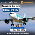 What Is The Frontier Animal Policy?