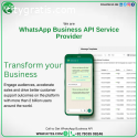WhatsApp Business API Service Provider