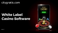 White label online casino solution