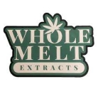 Whole melt disposable