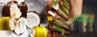 Wholesale Coconut Oil Suppliers | Purest