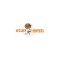 Wolley Movers Chicago