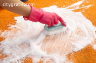 Wool Carpet Cleaning Services in CO