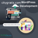 WordPress Development Company