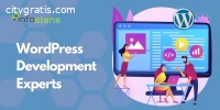 WordPress Development Experts