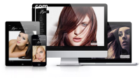 Wordpress Web Design Company