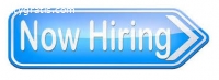 WORK FROM HOME JOBS - PART TIME DATA ENT