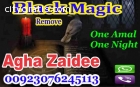 world famous astrologer Agha Zaidee 0092
