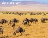 @Zanzibar Safari
